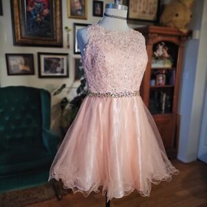 Elizabeth K by gls Pink Beaded Lace Tulle Fit & Flare Party Dress